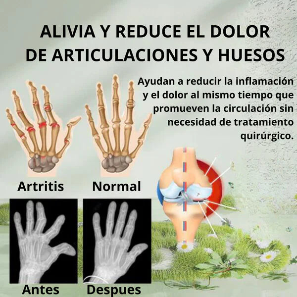 Beevana™ Crema del Dolor ¡PROMOCIÓN 2 UNIDADES!